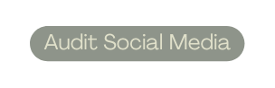 Audit Social Media